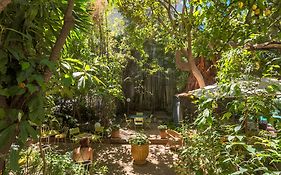 Le Windsor, Jungle Art Hotel